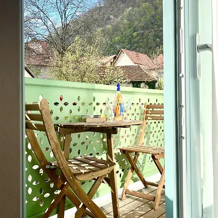 Mountain Trail Braşov